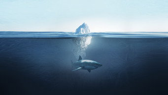 Shark Below Zero (2023)