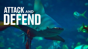 Attack and Defend (2015-2016)