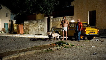 Bastardo (2013)