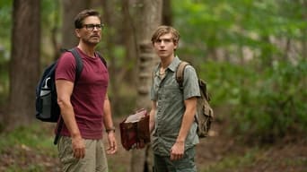 Galeria 5 - Perro perdido