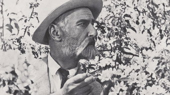 Мічурін (1949)