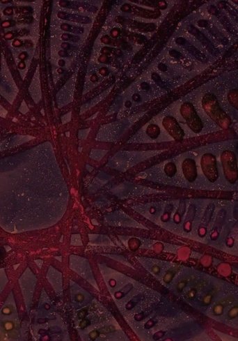 Theoria