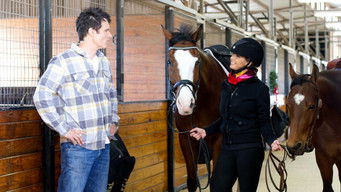 Galeria 4 - A Horse Tale