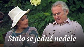 פוסטר של Stalo se jedné neděle