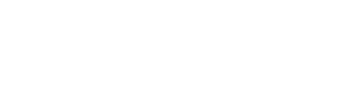 Northern Lights logo