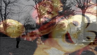 #7 The Story of "Scenario"