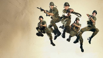 I-4: Loafing and Camouflage (2008)