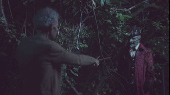 #9 Leprechaun: The Beginning
