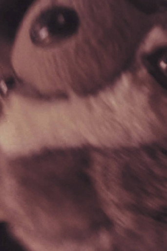 Why Is My Body Feeling This Way? (2024)