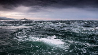 Tide (2019)