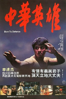 中華英雄 (1988)