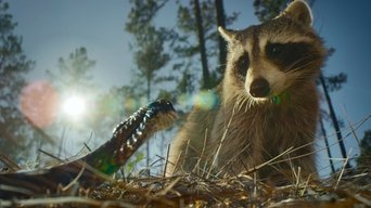 Naturaleza de pesadilla S01E01