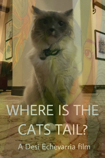 Where Is The Cat's Tail? (2026)
