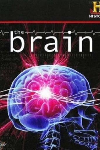 The Brain en streaming 