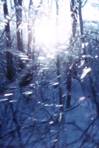 Third Law of Thermodynamics