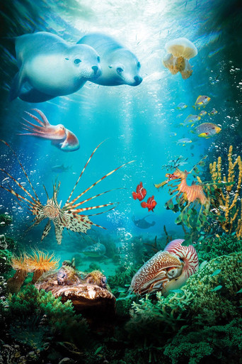 Poster 11