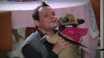 Episódio Episódio 53 da série Saramandaia