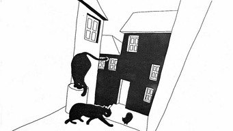 Tale About the Cat and the Moon (1997)