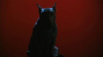 #5 Baxter