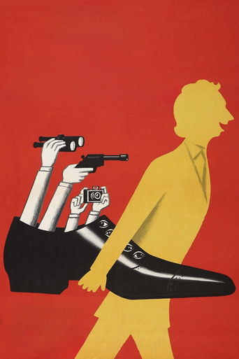 The Tall Blond Man with One Black Shoe poster 8