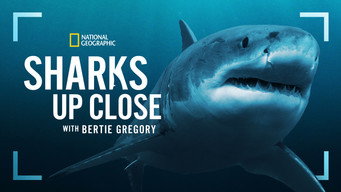 #7 Sharks Up Close with Bertie Gregory