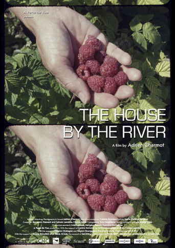 The House by the River poster