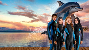Dolphin Summer (2025)