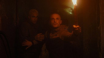 #23 Павуче лігво