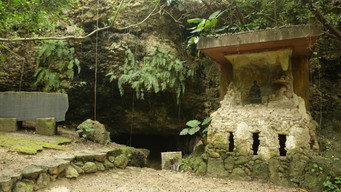 I Wouldn't Go in There (2013- )