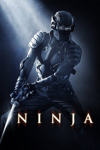 Ninja Poster