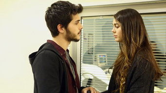 Episode 4 — Episode 4