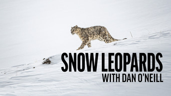 Snow Leopards with Dan O'Neill (2025)