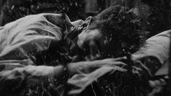 #14 They Live by Night