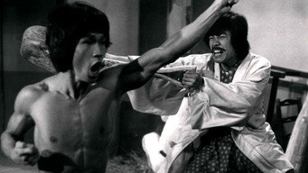 Bruce and Dragon Fist (1977)
