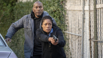 Galeria 2 - Black and Blue