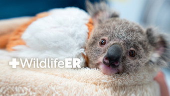 Wildlife ER (2022- )