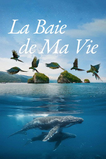 La Bahía de Mi Vida (Conexiones invisibles)