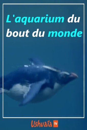 L'aquarium du bout du monde: Season 1