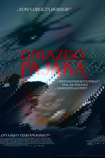 Gniazdo pająka