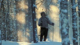 The Timbercamp Tales (1988)