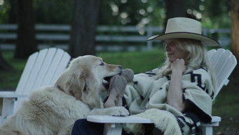 Galeria 4 - Pamela Anderson: Una historia de amor