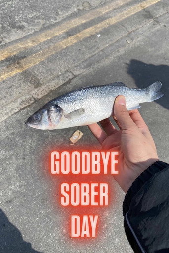 Goodbye Sober Day (2026)