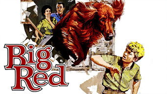 #4 Big Red