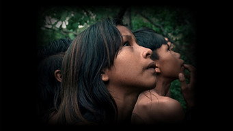 The Buriti Flower (2023)