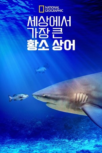 세상에서 가장 큰 황소 상어