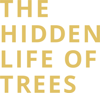 The Hidden Life of Trees logo