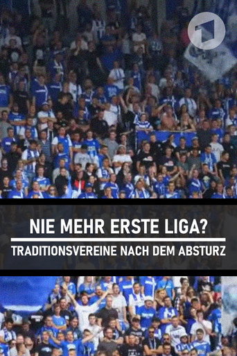 Nie mehr erste Liga? - Traditionsvereine nach dem Absturz (2017)