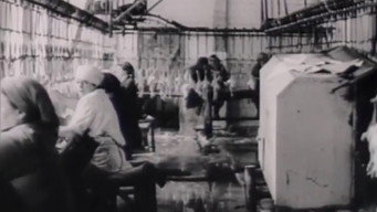 Завтра свято (1987)