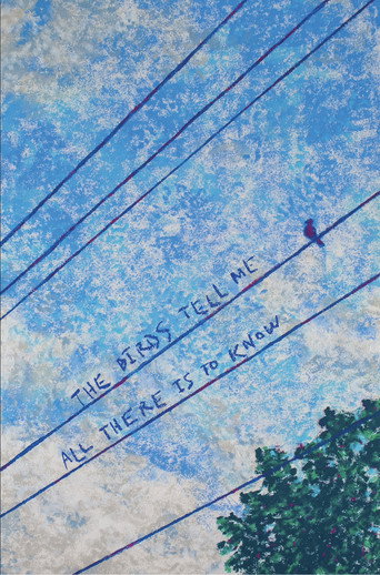 The Birds Tell Me All There Is to Know (2026)