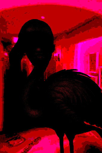 Flamingo poster